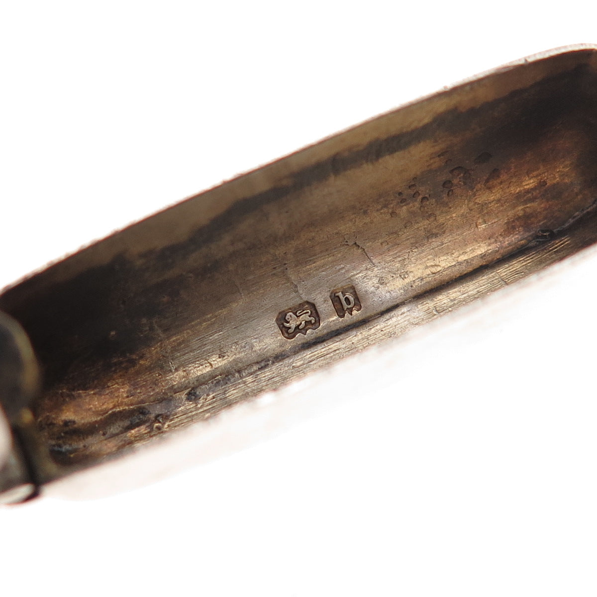 William Hutton & Sons Sterling Antique 1901 Birmingham Dinosaur Vesta Match Case