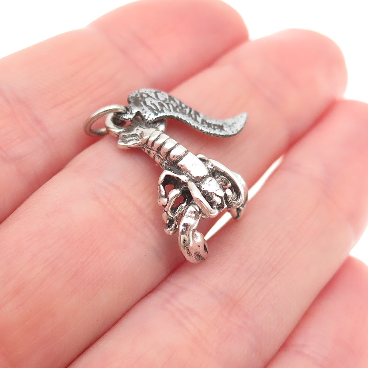 925 Sterling Silver Vintage Acadia National Park Lobster Oxidized Charm Pendant