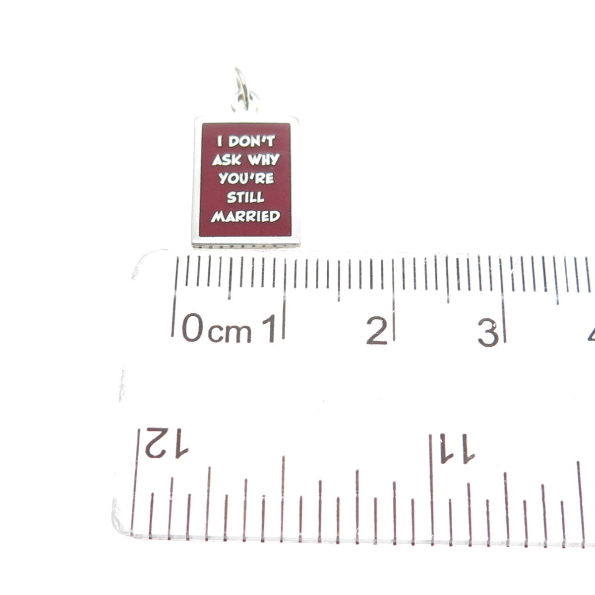 925 Sterling Red Enamel I Don't Ask Why You're Still Married Minimalist Pendant