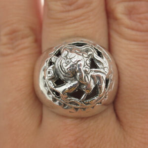 Descriptive image text