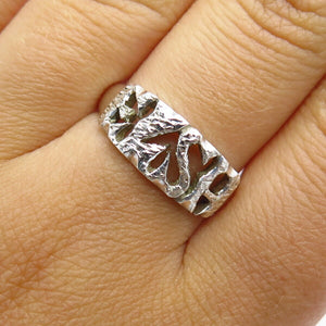 Descriptive image text