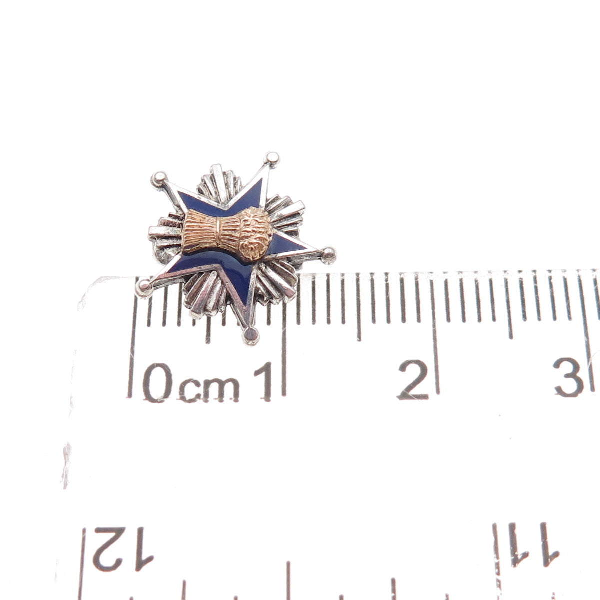 Leavens Sterling Silver 2-Tone Antique Enamel Patrons of Husbandry Pin Brooch