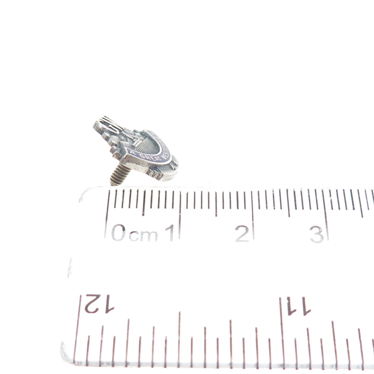 LGB BALFOUR Sterling Vintage Enamel George Washington Great Westerner Lapel Pin