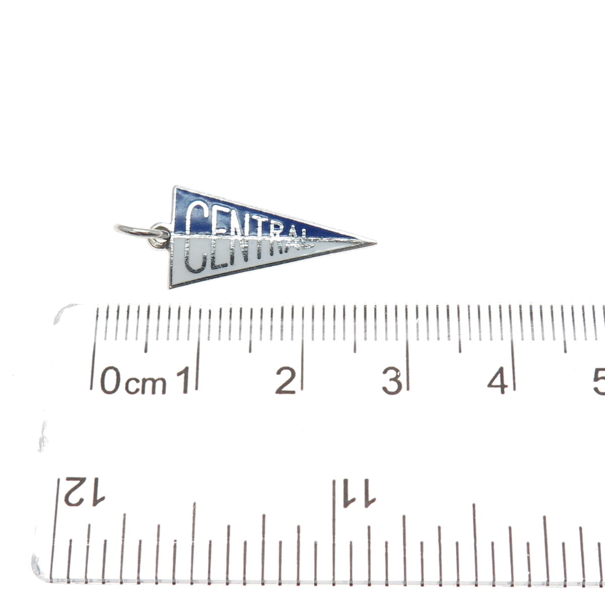 ART'S ELEGANCE 925 Sterling Silver Vintage Enamel Central School Charm Pendant