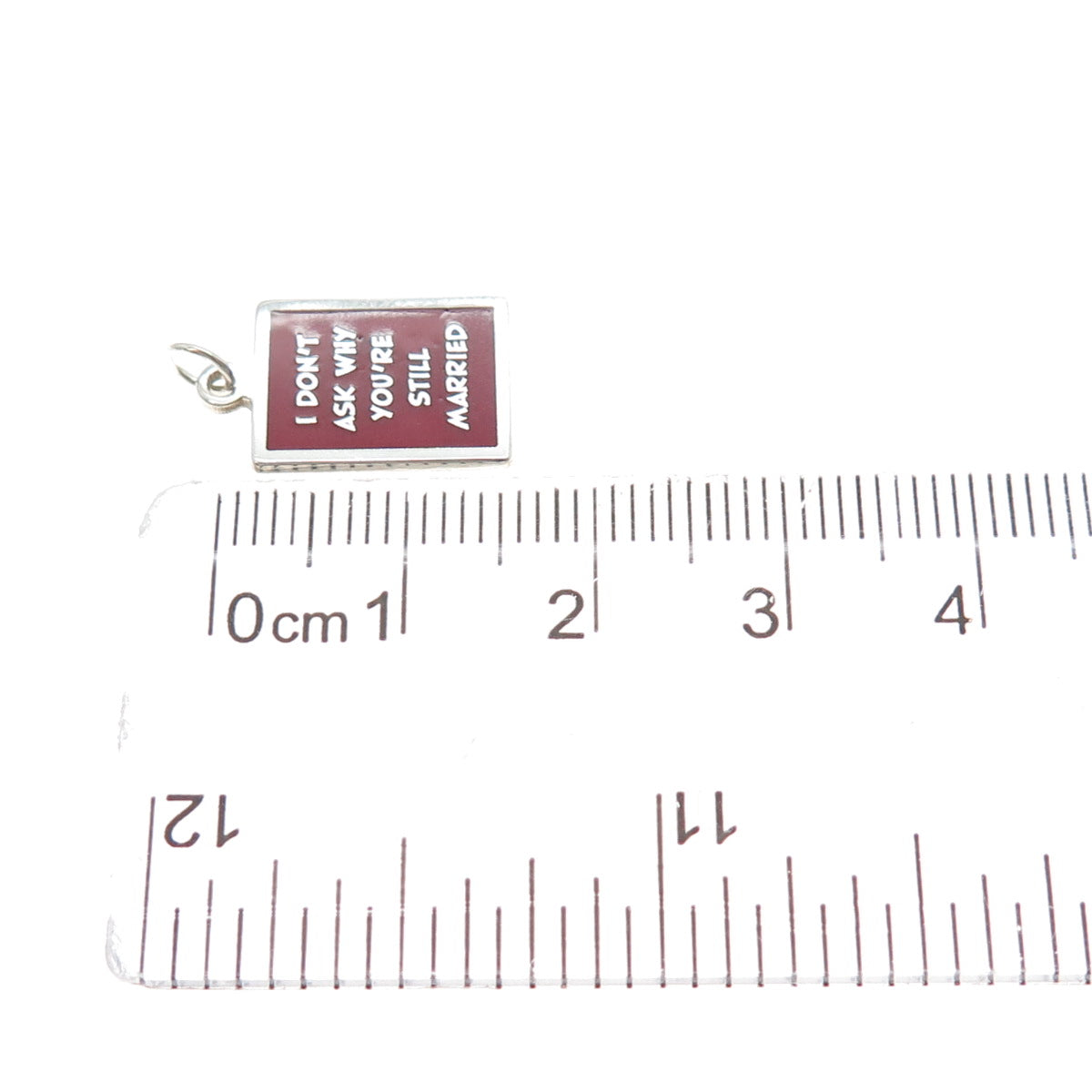 925 Sterling Red Enamel I Don't Ask Why You're Still Married Minimalist Pendant