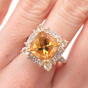 Descriptive image text