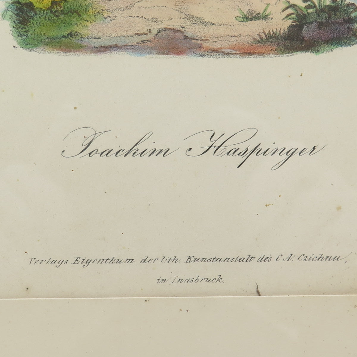 ANTIQUE End XIX Hand-Colored Lithograph Joahim Hastinger C.A.Czichna