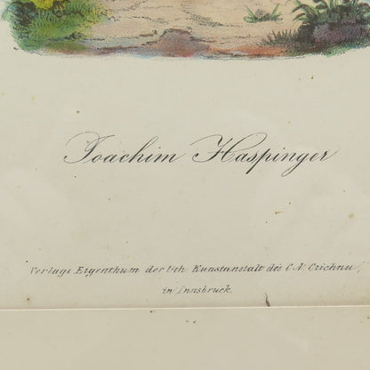 ANTIQUE End XIX Hand-Colored Lithograph Joahim Hastinger C.A.Czichna