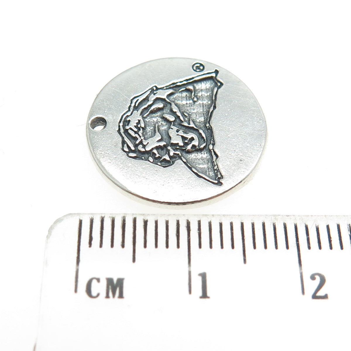 925 Sterling Silver Vintage Pit Bull Dog "PITT" Round Tag Charm Pendant