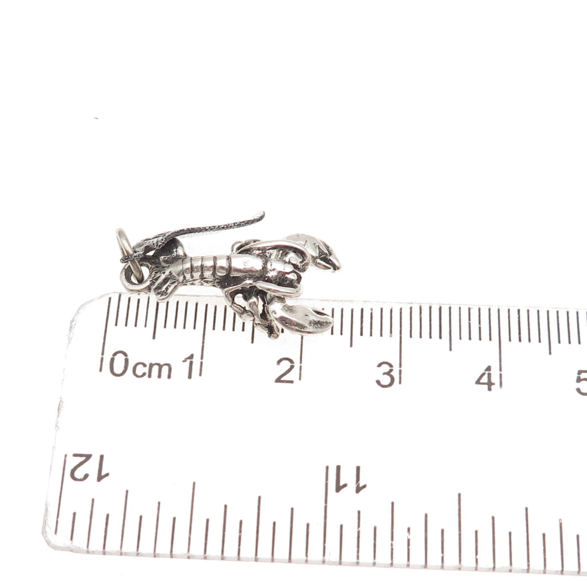 925 Sterling Silver Vintage Acadia National Park Lobster Oxidized Charm Pendant