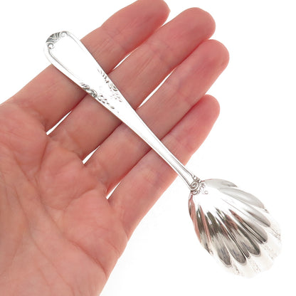 800 Silver Antique Art Deco European Seashell Sugar Sifter Spoon