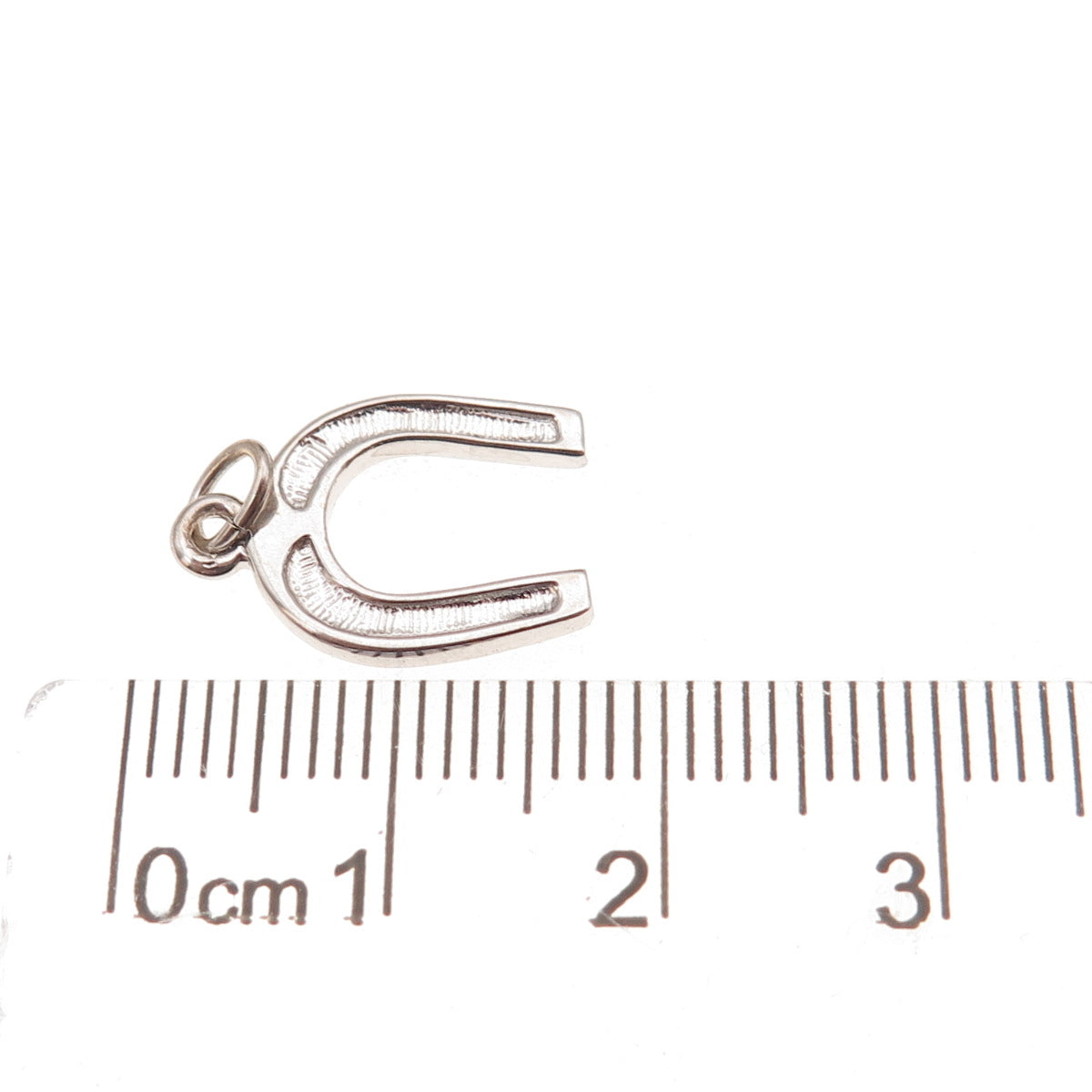 Carla 14K White Gold Vintage Horseshoe Good Luck Charm Pendant