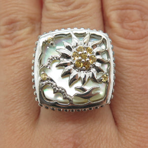 Descriptive image text