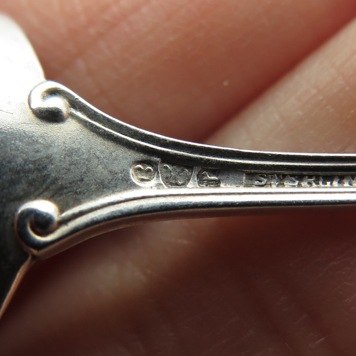 WATSON 925 Sterling Silver Antique 1908 Commonwealth Salt & Spices Spoon