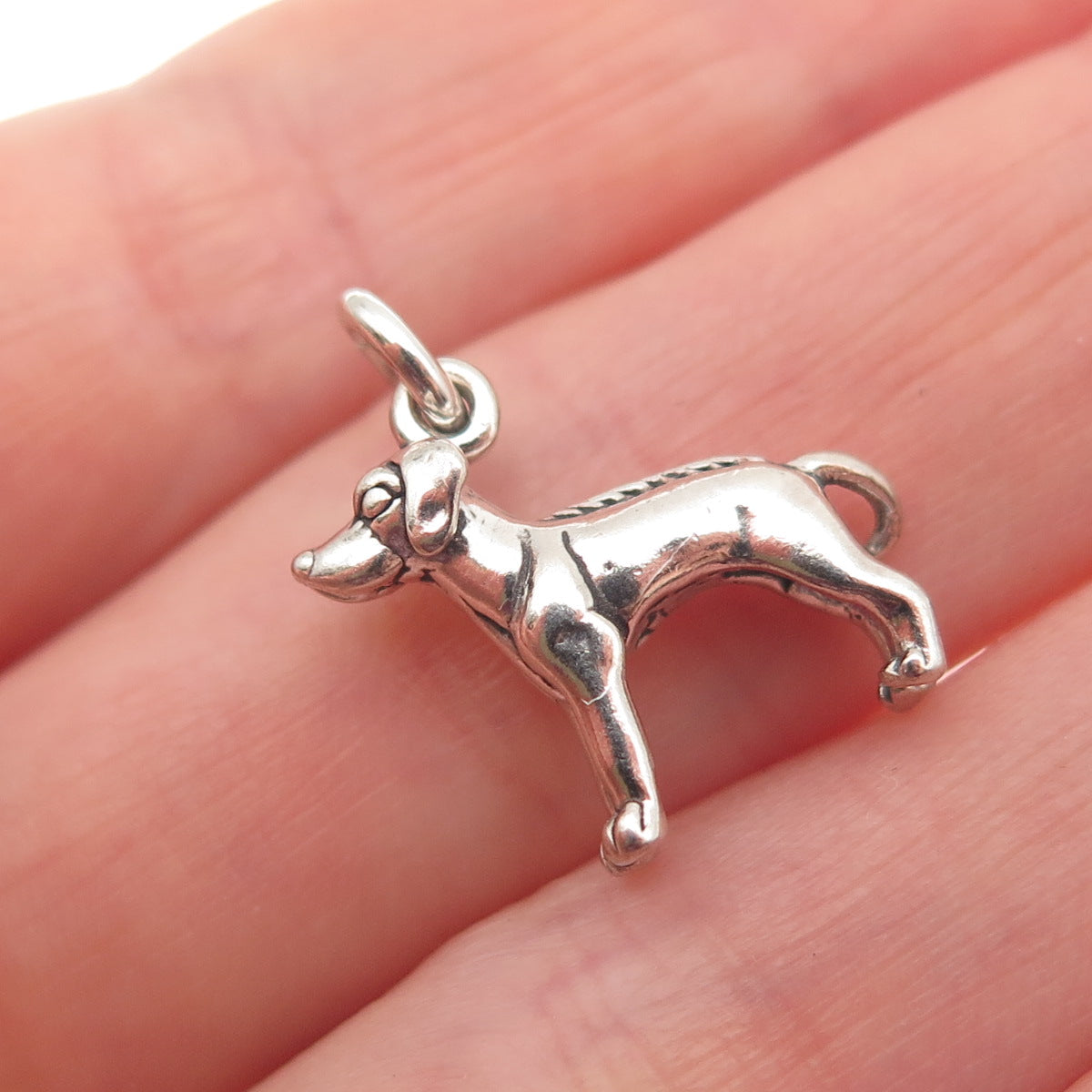 925 Sterling Silver Vintage Rhodesian Ridgeback Dog 3D Mini Charm Pendant