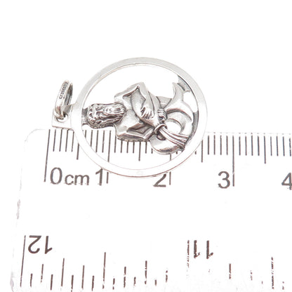 Anson 925 Sterling Silver Vintage Germany Aquarius Zodiac Sign Charm Pendant