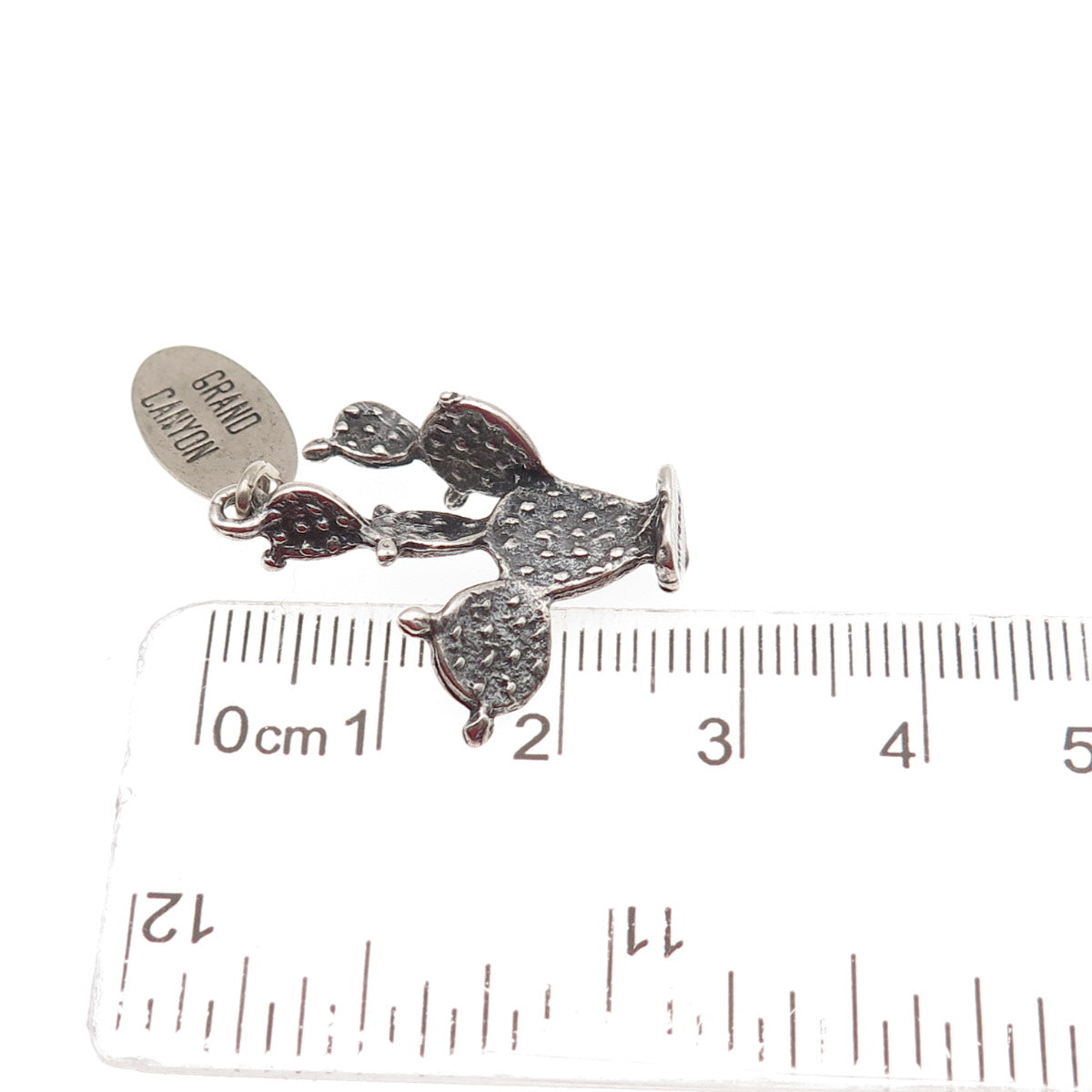 925 Sterling Silver Vintage Grand Canyon Cactus Oxidized 3D Charm Pendant