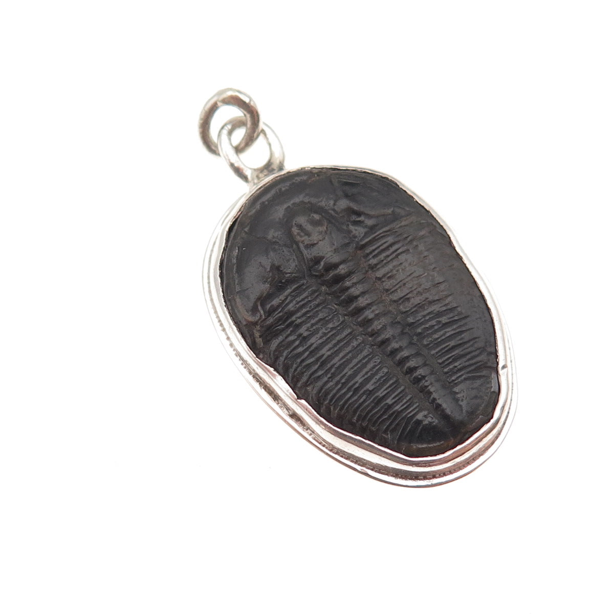 Ray Van Cleve Sterling Silver Vintage Trilobite Fossil Oxidized Charm Pendant