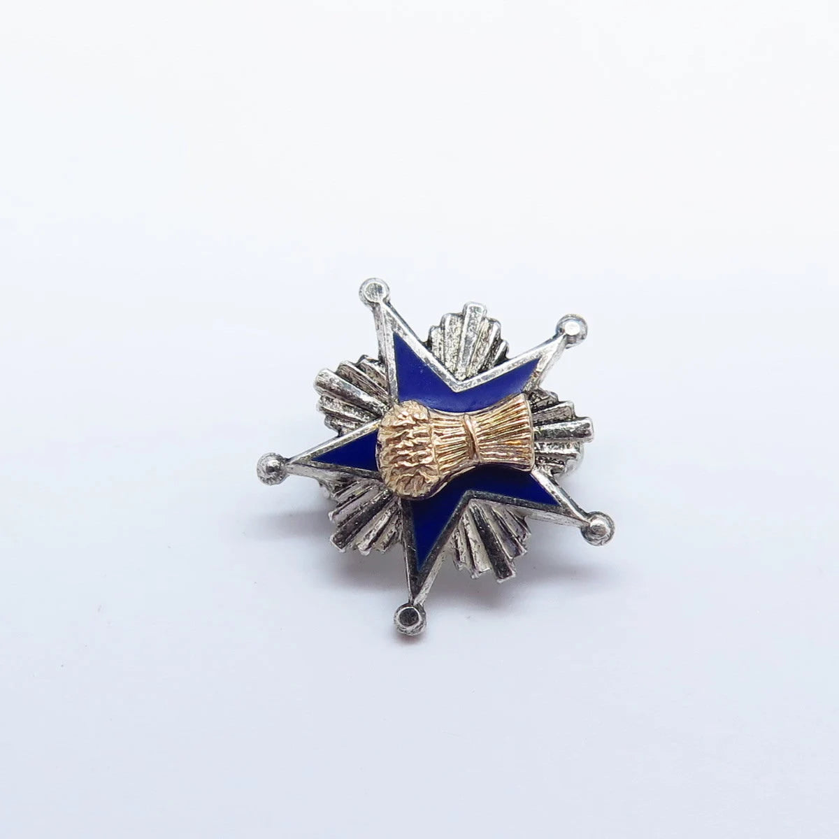 925 Sterling Silver Gold Filled Vintage Leavens Patrons of Husbandry Brooch
