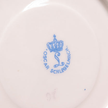 OSCAR SCHLEGELMILCH Antique SET of 2 Floral Collectable Porcelain Cabinet Plates