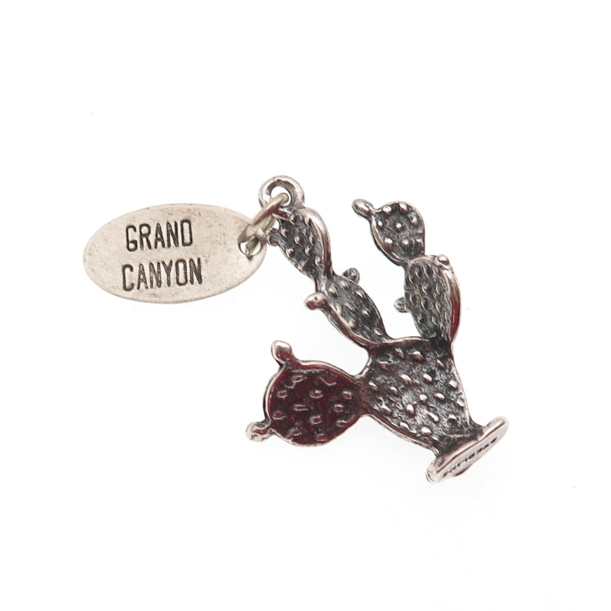 925 Sterling Silver Vintage Grand Canyon Cactus Oxidized 3D Charm Pendant