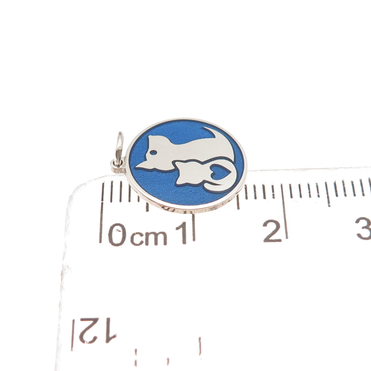 925 Sterling Silver Blue Enamel Dog & Cat Friendship Mini Charm Pendant