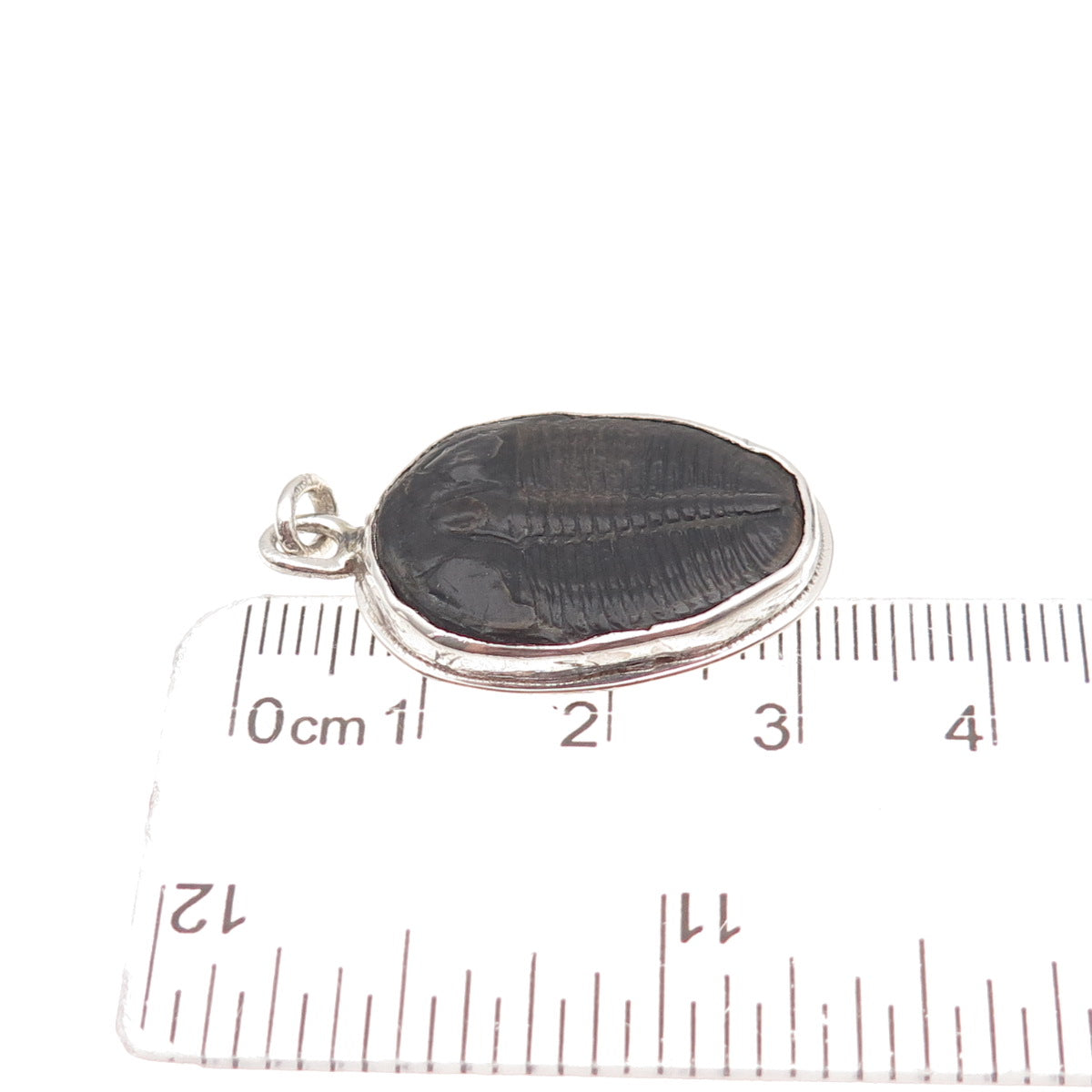 Ray Van Cleve Sterling Silver Vintage Trilobite Fossil Oxidized Charm Pendant