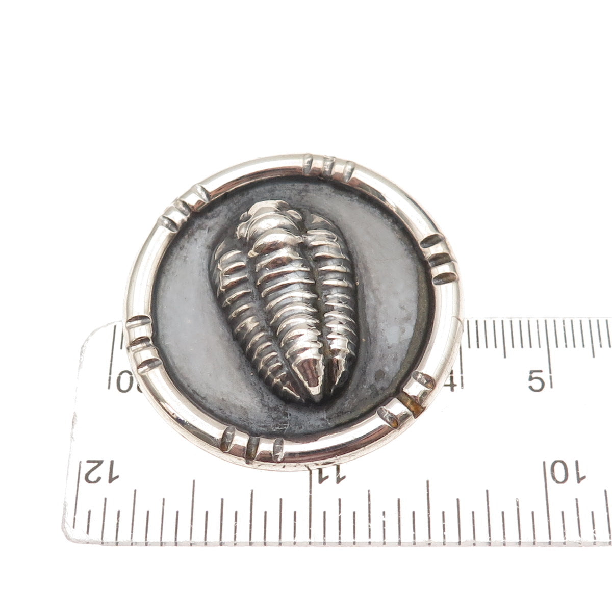 Hyman Co. 925 Sterling Silver Vintage Trilobite Fossil Oxidized Pin Brooch