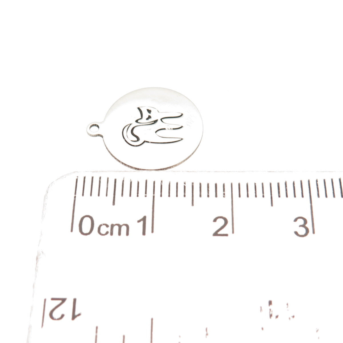 Two in Town 925 Sterling Silver Cat Round Tag Mini Charm Pendant
