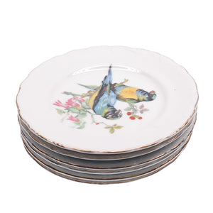 Royal Crown Antique Early XX Song Birds Porcelain SET of 6 Serving Plates