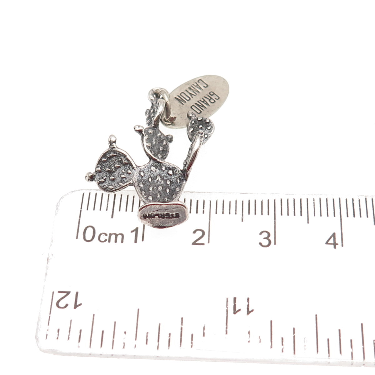 925 Sterling Silver Vintage Grand Canyon Cactus Oxidized 3D Charm Pendant