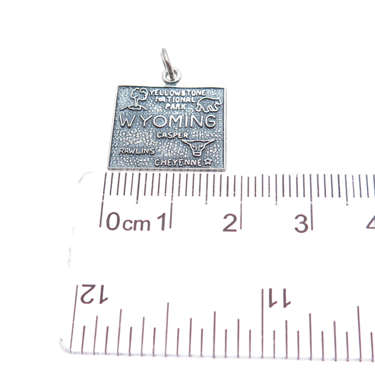 FRENCH & FRANKLIN Sterling Silver Vintage Wyoming Oxidized Minimalist Pendant