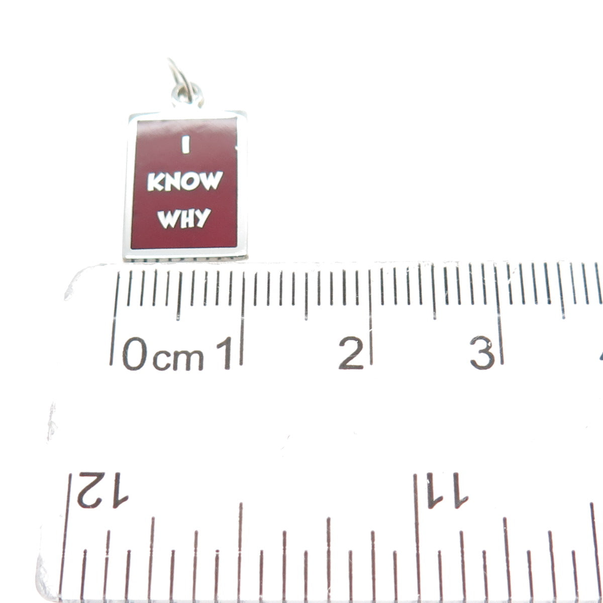 925 Sterling Silver Red Enamel I Know Why Minimalist Charm Pendant