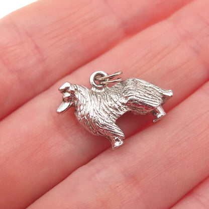 925 Sterling Silver Vintage Border Collie Dog 3D Mini Charm Pendant
