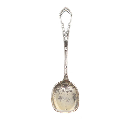 84 Silver Antique Victorian European Salt & Spices Spoon