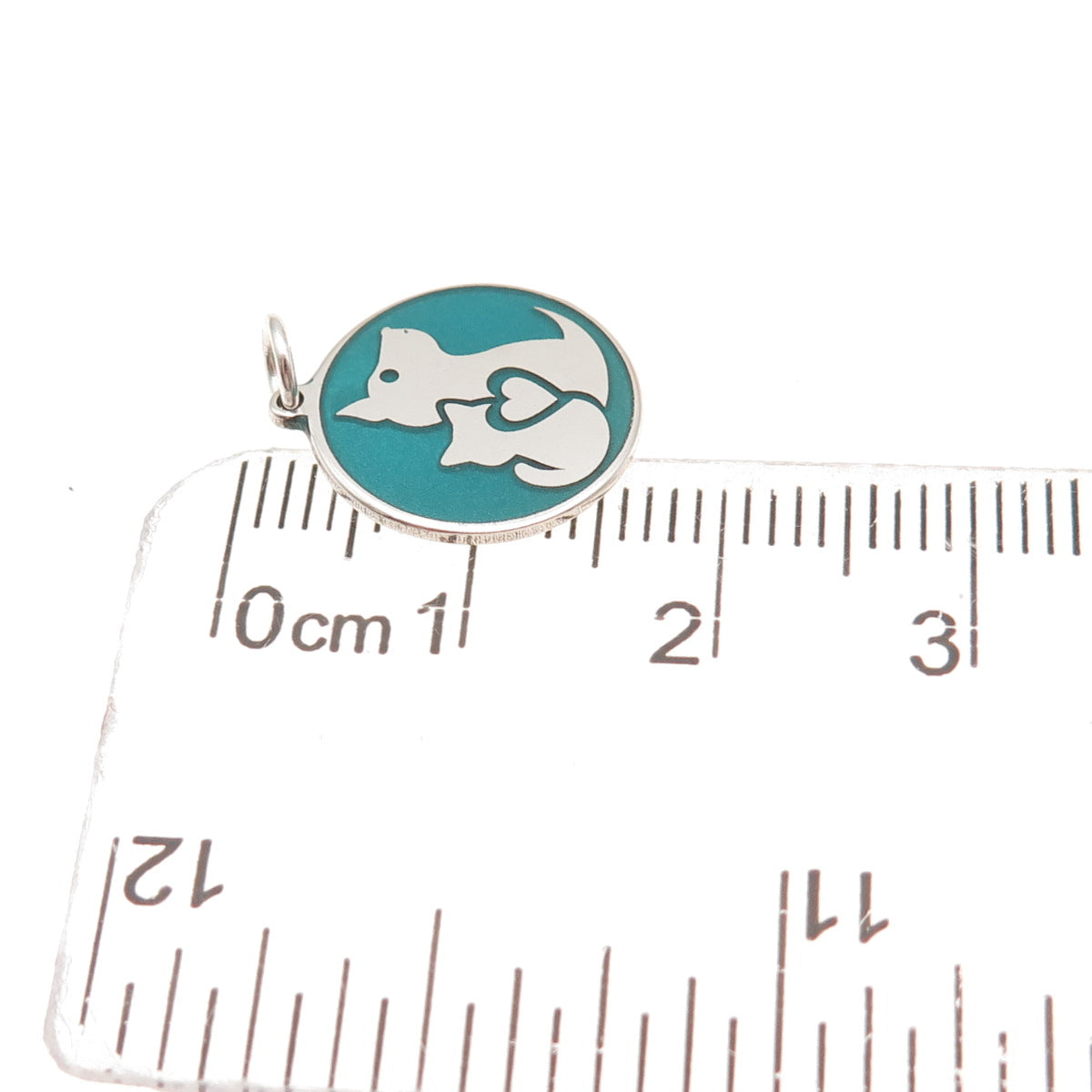 925 Sterling Silver Turquoise Enamel Dog & Cat Friendship Tag Charm Pendant