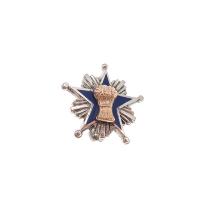 Leavens Sterling Silver 2-Tone Antique Enamel Patrons of Husbandry Pin Brooch