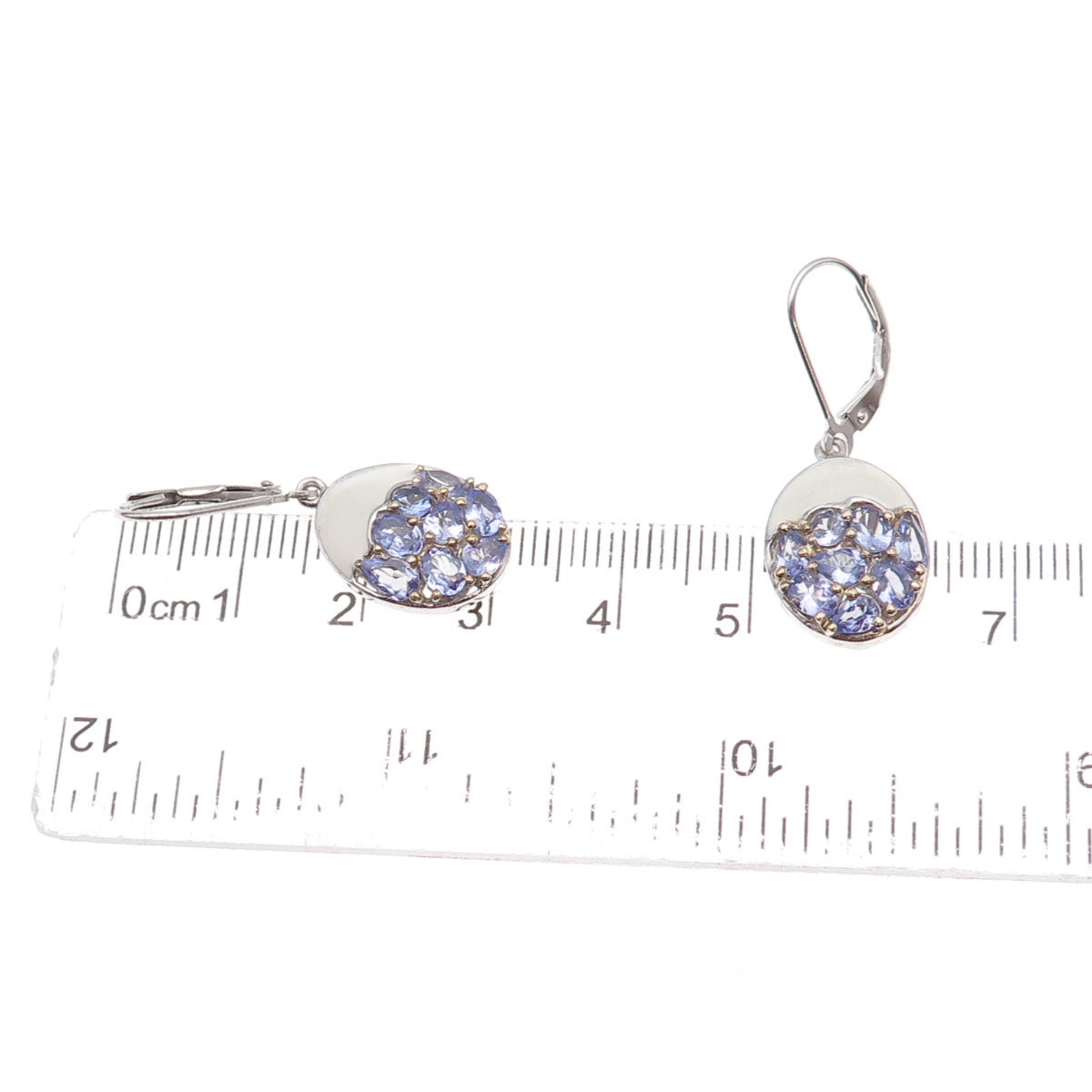 Chuck Clemency 925 Sterling Silver 2-Tone Enamel Real Tanzanite Dangle Earrings